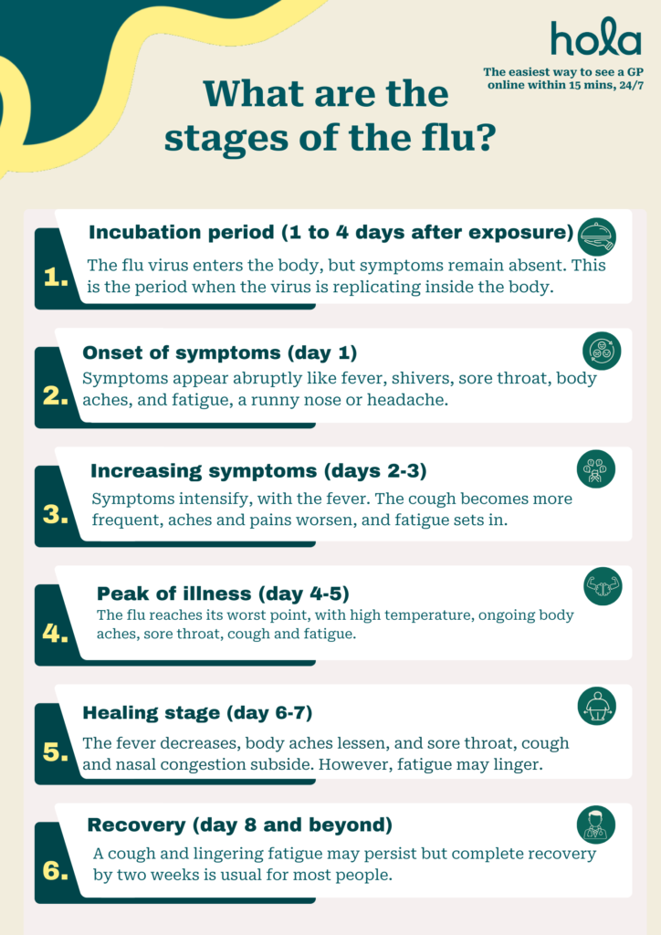 What are the stages of flu