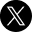 X icon
